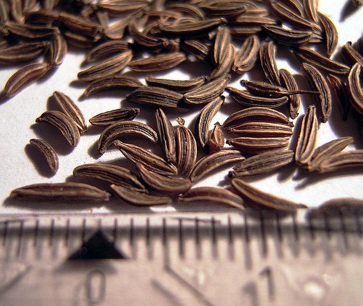 Caraway seeds online shopping