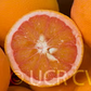 Vaniglia Sanguigno Acidless Pigmented Sweet Orange Budwood citrus plant material online shopping