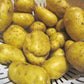 Nicola Potato online shopping