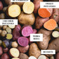 Terra Rosa Seed Potato online shopping