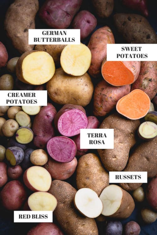 Terra Rosa Seed Potato online shopping