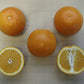Trovita Sweet Orange Budwood citrus plant material online shopping