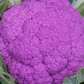 Purple Moon F1 Cauliflower