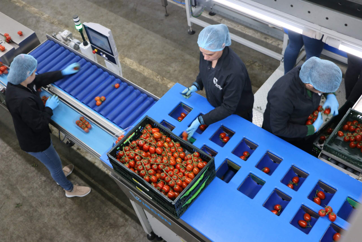 Viscon Fresh Produce Polyweighr