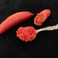 Maroon Gem Australian Finger Lime Budwood citrus plant material online shopping