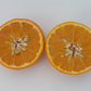 Royal Mandarin Plant citrus plant material online shopping