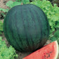Sugar Baby Organic Watermelon