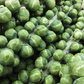 Gustus Brussels Sprout