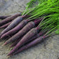 Deep Purple F1 Carrot