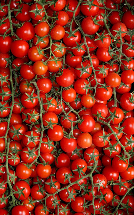 Sweet Million Tomato