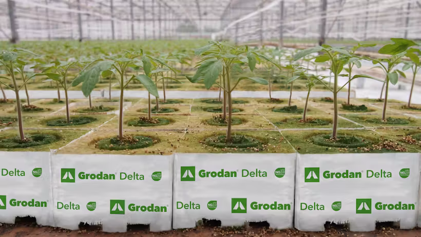 Grodan Delta NG2.0 Block Propagation Rock Wool Hydroponics Substrate