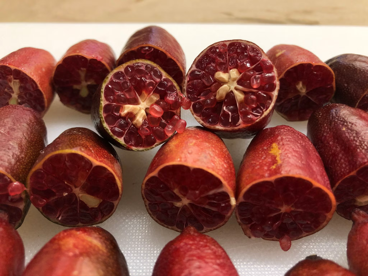 Misterioso Australian Finger Lime Budwood citrus plant material online shopping