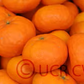 Encore Mandarin Budwood citrus plant material online shopping