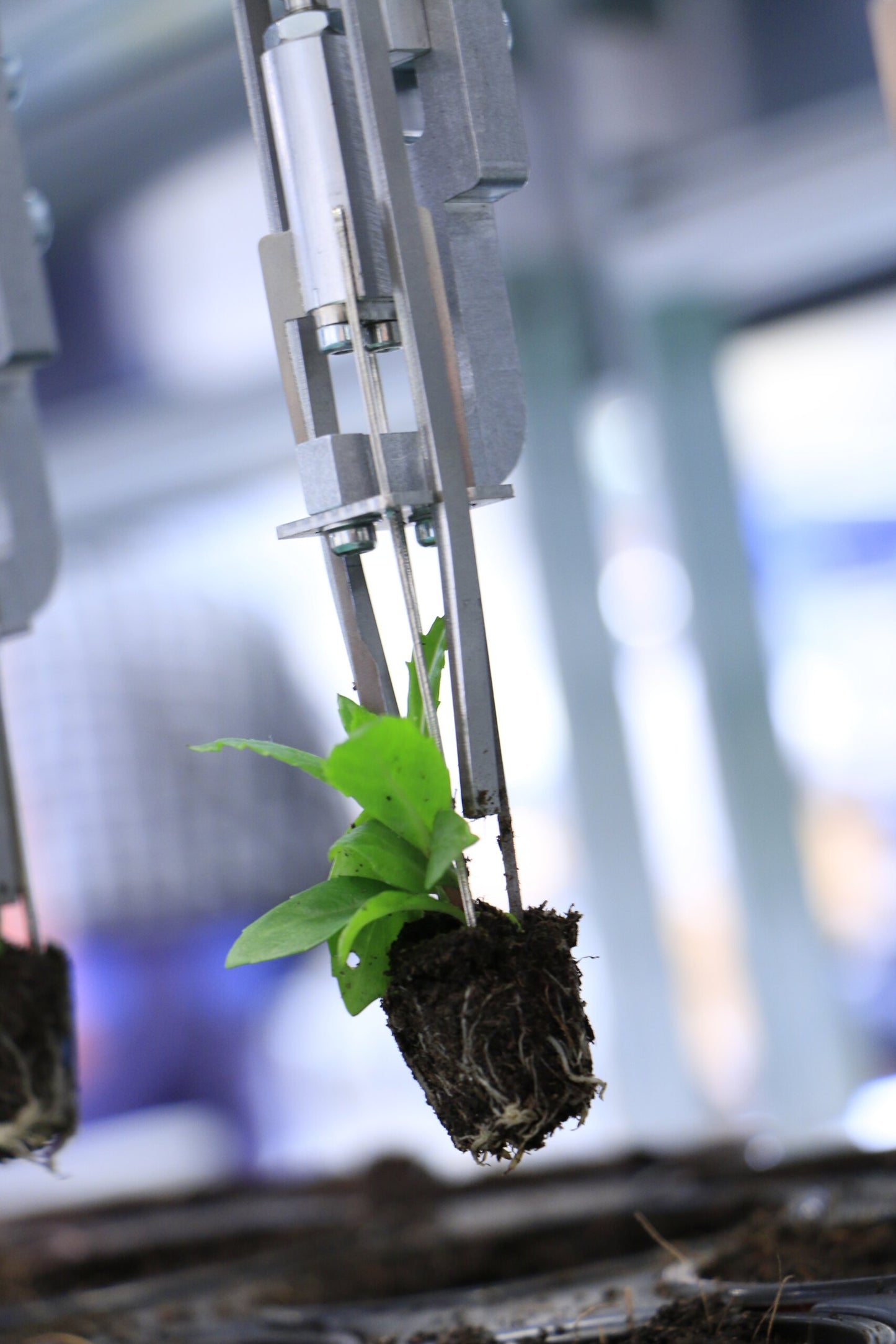 Viscon Pic O Mat Blueline Transplanter