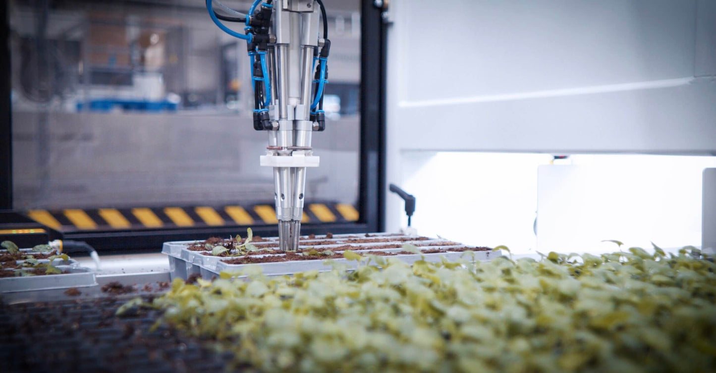 Viscon Robotic Gap Filler Transplanter