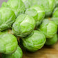 Silvia F1 Brussels Sprout