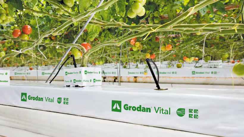 Grodan Vital Slab Vegetable Growing Rock Wool Hydroponics Substrate