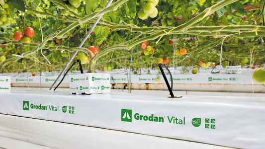 Grodan Vital Slab Vegetable Growing Rock Wool Hydroponics Substrate