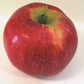 Wolf River Heirloom Apple