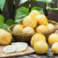 Lemon Cucumber