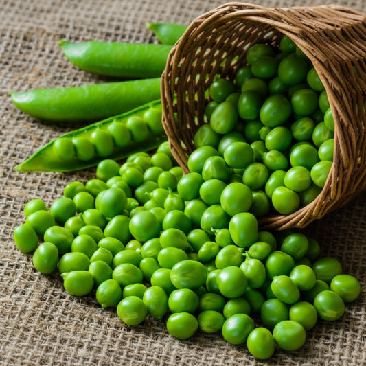 Green Arrow Shelling Pea Seeds online shopping