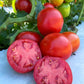 RuBee Goddess Tomato