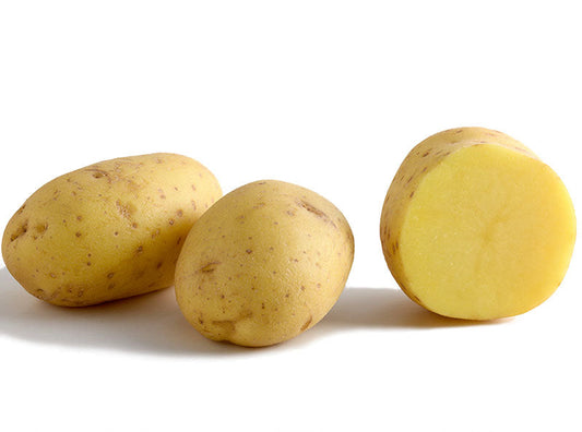 Excellency Large Potato online shopping