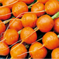 Paris Market Carrot