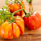 Get Stuffed Organic Tomato