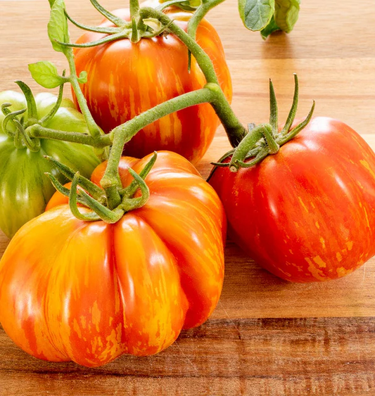 Get Stuffed Organic Tomato Seeds online shopping