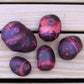 Purple Viking Seed Potato online shopping
