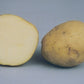 Dakota Pearl White Potato online shopping