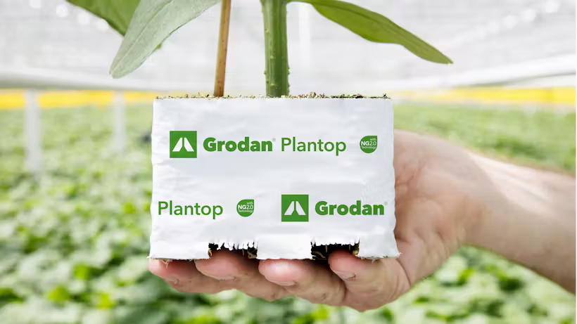Grodan Plantop Block Propagation Rock Wool Hydroponics Substrate