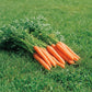 Yaya F1  Carrot