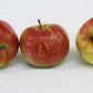 Sandow Heirloom Apple