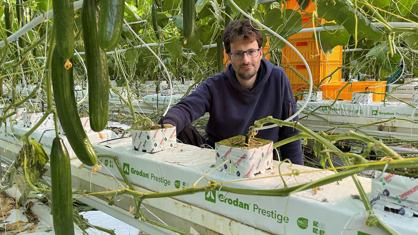 Grodan Prestige Slab Vegetable Growing Rock Wool Hydroponics Substrate