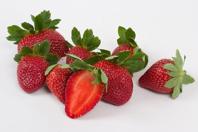 Florida Festival™ Short Day Strawberry