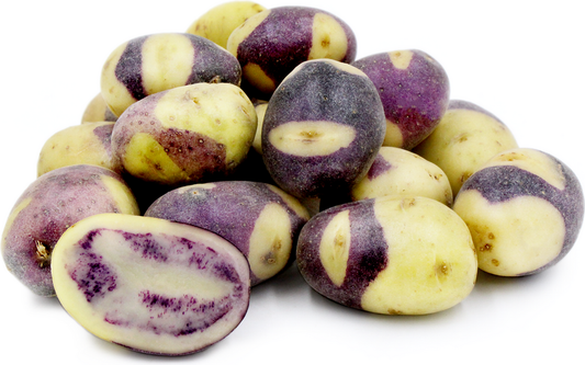 Jester Seed Potato online shopping