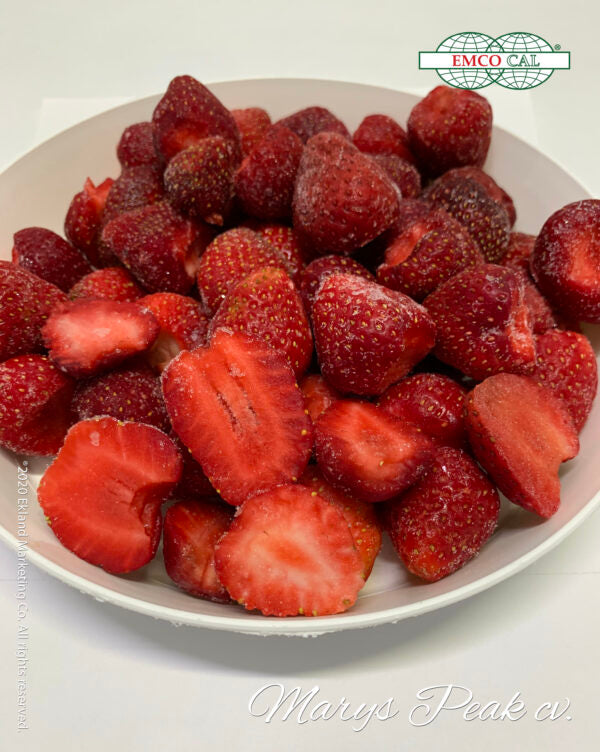 Marys Peak Short Day Strawberry