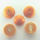 Nova Mandarin Budwood citrus plant material online shopping