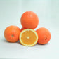 Skaggs Bonanza Navel Orange Budwood citrus plant material online shopping