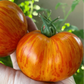 Red Zebra Tomato