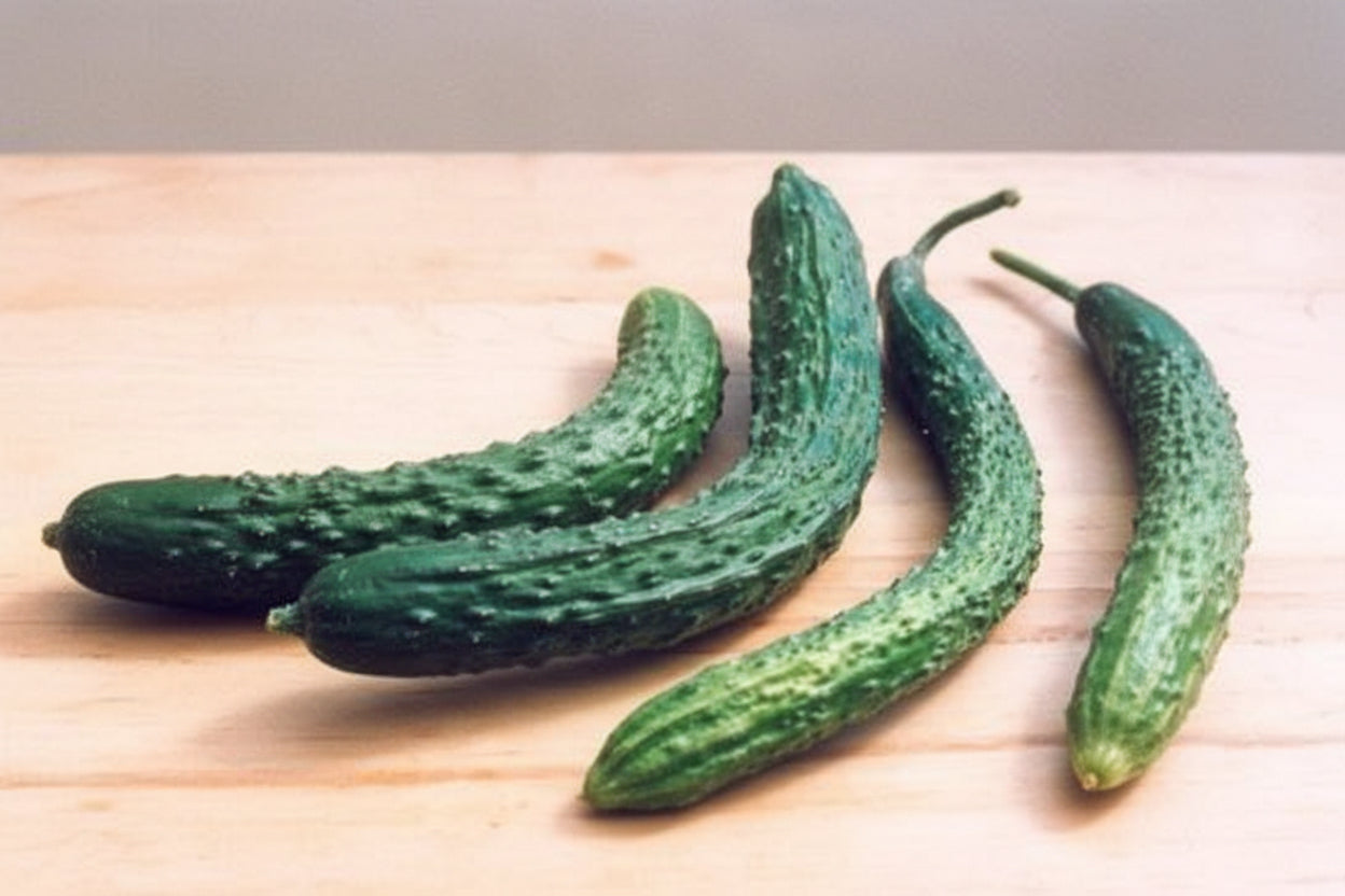 Suyo Long Organic Cucumber Seeds online shopping
