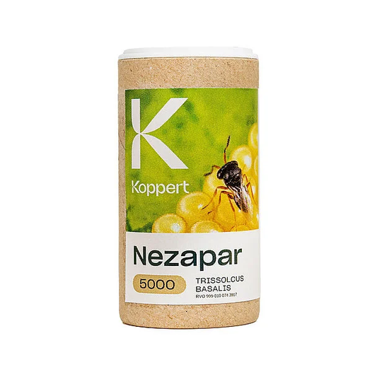 Nezapar Parasitic Wasp