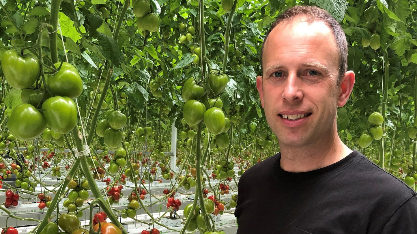 Grodan GT Master Dry Slab Vegetable Growing Rock Wool Hydroponics Substrate