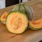 Halona F1 Melon
