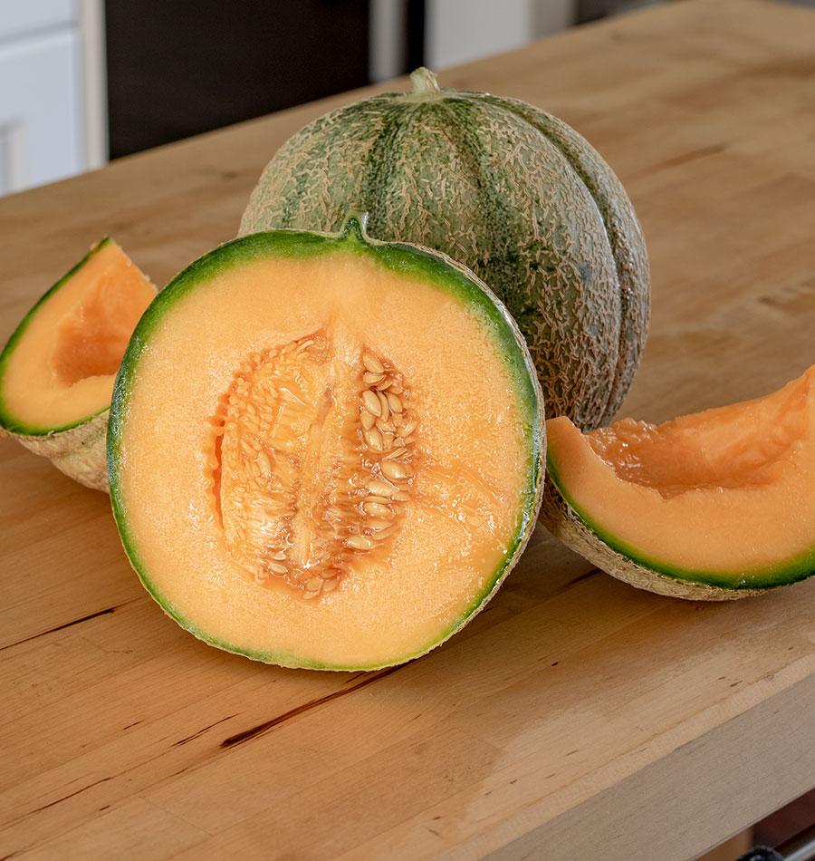 Halona F1 Melon
