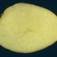 Carlton Early Potato online shopping