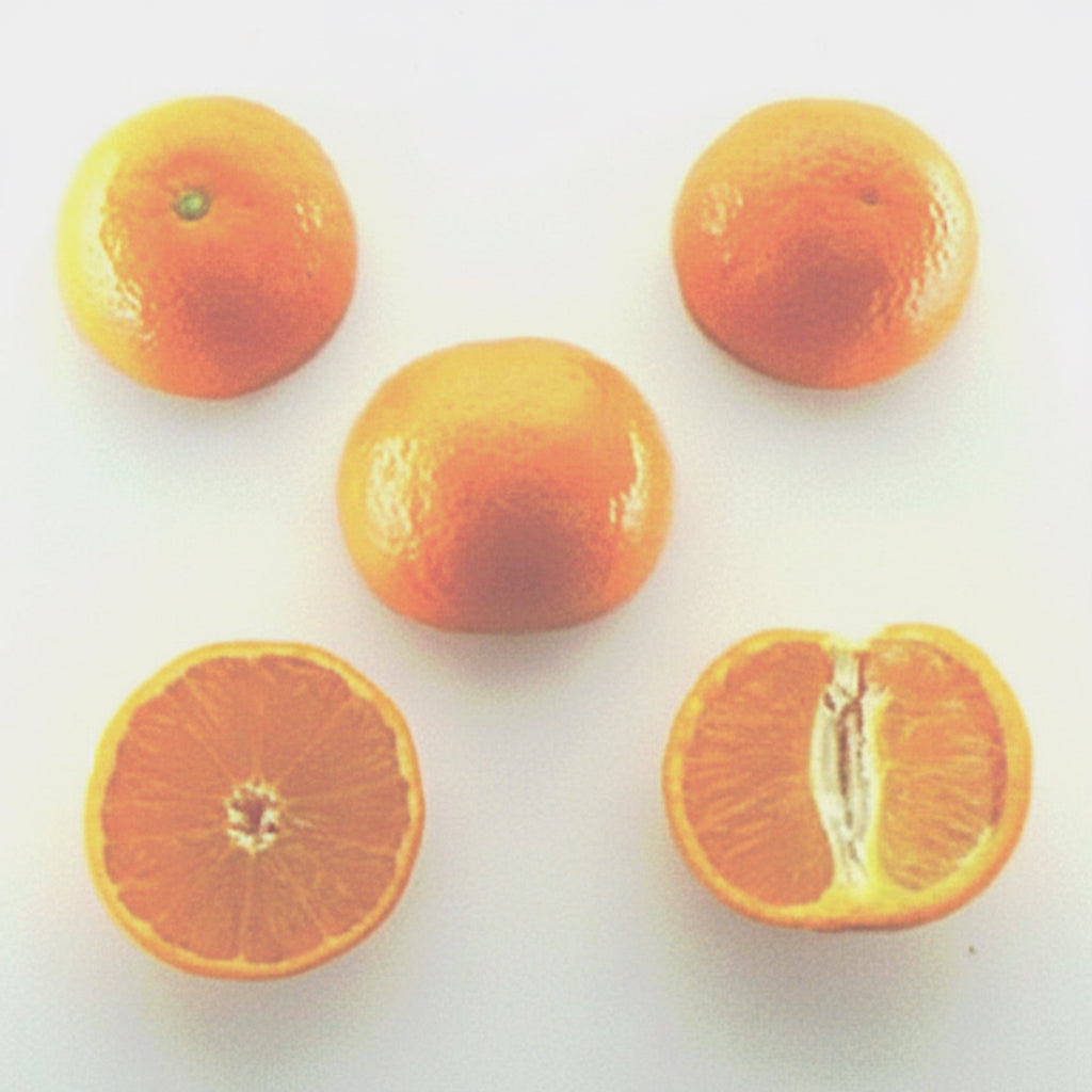 Page Tangelo Mandarin Budwood citrus plant material online shopping