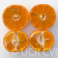 Michal Mandarin Budwood citrus plant material online shopping